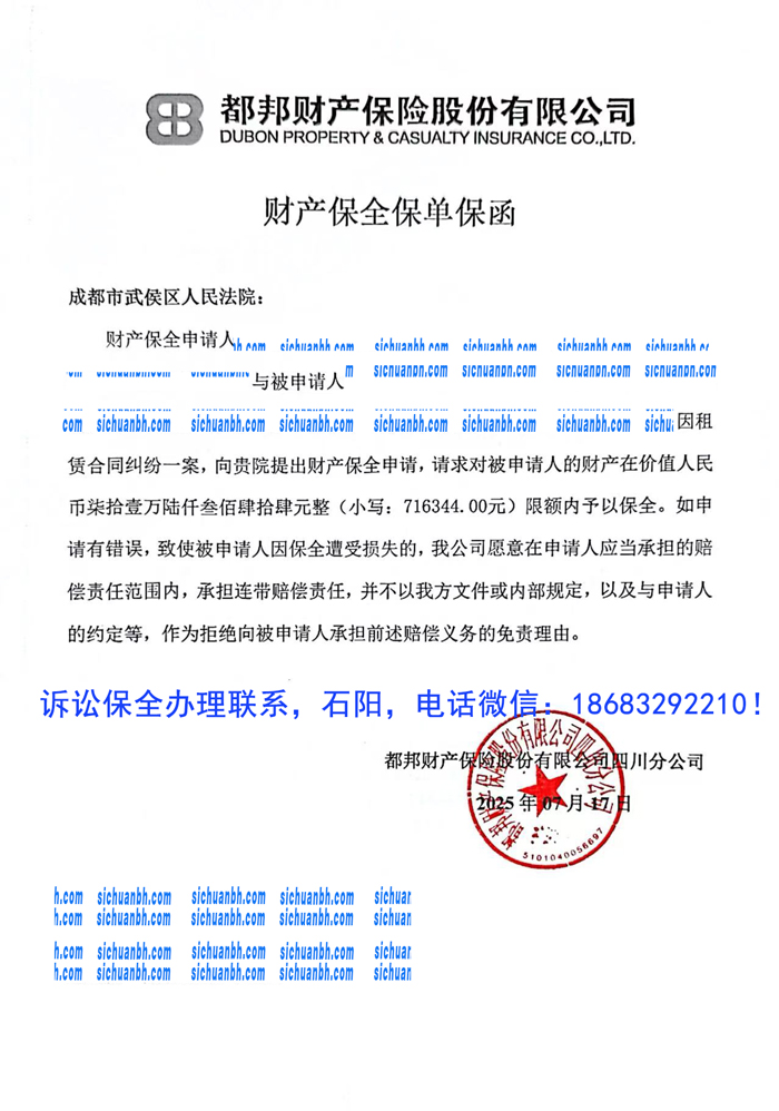 诉讼保全.jpg